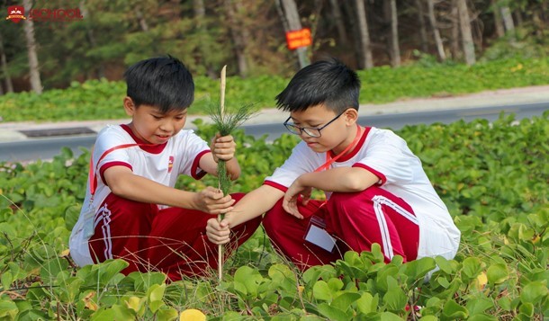 Các học sinh tại trường iSchool Trà Vinh tham gia trồng 700 cây phi lao tại vùng biển Ba Động. Ảnh: iSchool Trà Vinh.