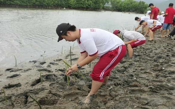 Trường iSchool Nha Trang tiên phong trong chiến dịch iSchool For Community với chương trình trồng rừng ngập mặn. 