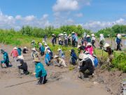 các bạn sinh viên 2 nước đã cùng nhau trồng 2 ha rừng ở Cần Giờ. 